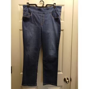 Gloria Vanderbilt Size 18 Short Amanda Pull-On Straight Leg High Rise Jeans